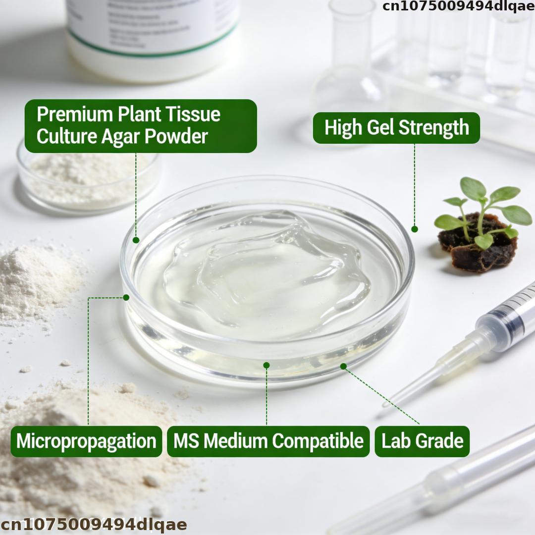 ผงวุ้นเพาะเลี้ยงเนื้อเยื่อพืช  - Agar Tissue Culture บทวิจารณ์และราคา