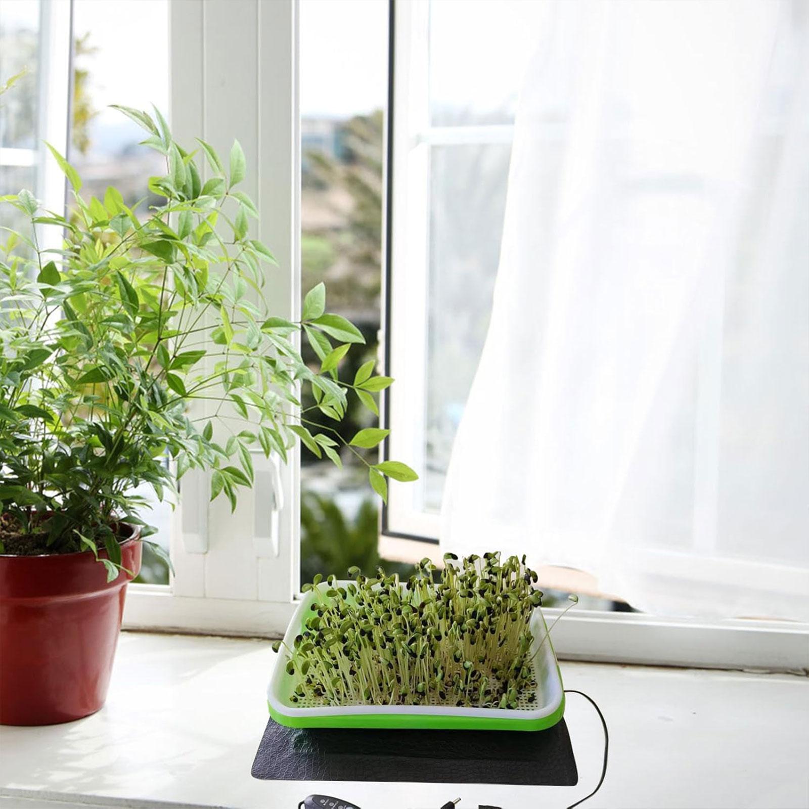 แผ่นทำความร้อนสำหรับเพาะเมล็ดแ - Heat Mat Seedling บทวิจารณ์และราคา