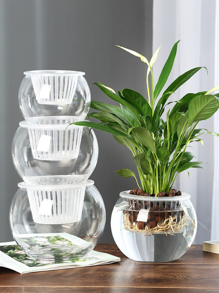 แจกันแก้วไฮโดรโปนิกส์ แจกันแก้ - Propagation Station Vase บทวิจารณ์และราคา
